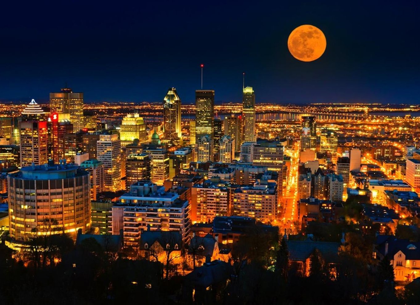 Montreal: Guidet byrundvisning på en halvdagstur