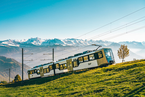 Queen of the Mountains Roundtrip, Mt. Rigi+Lake Lucerne+Spa