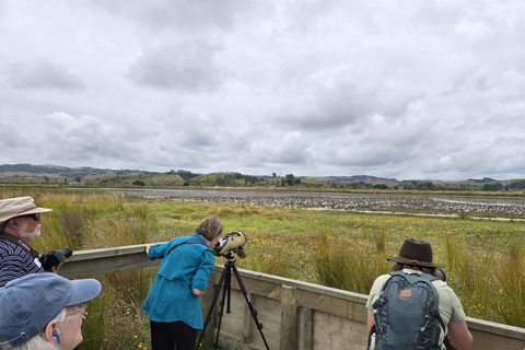 Auckland: Birdwatching, Hiking & Waterfalls Tour