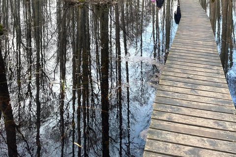 La Gema Oculta de Letonia: Caminata y Transporte por el Sendero Natural del Lago