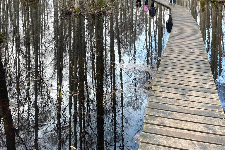 La Gema Oculta de Letonia: Caminata y Transporte por el Sendero Natural del Lago