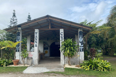 Port Vila: Waterfalls, Snorkel & Underwater Post Office Tour