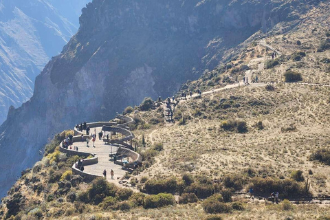 Excursion au Canyon de Colca avec petit-déjeuner et déjeuner