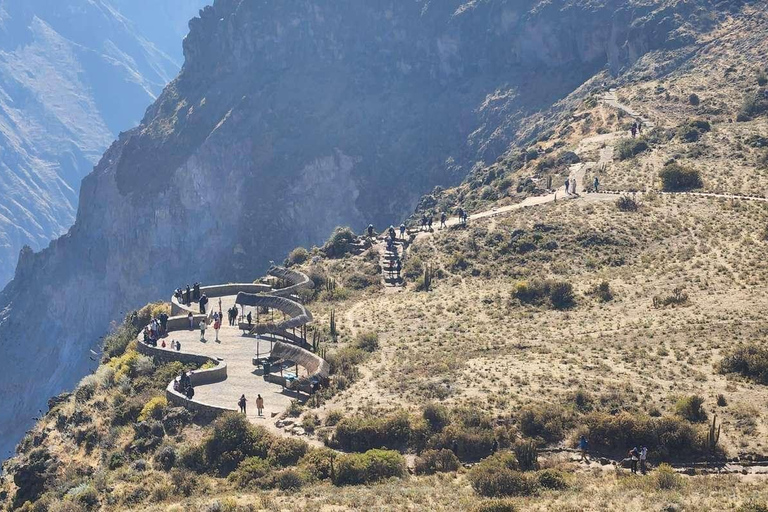 Excursion au Canyon de Colca avec petit-déjeuner et déjeuner