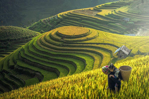 Mu Cang Chai 2 Days Tour Trekking Terraced Rice Field