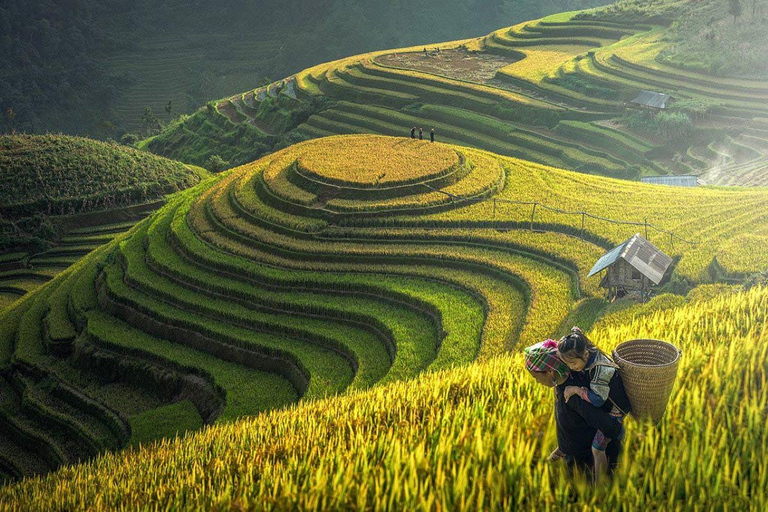 Mu Cang Chai 2 Days Tour Trekking Terraced Rice Field