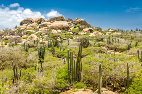 Aruba Natural Pool &amp; Natural Bridge Off-Road Adventure