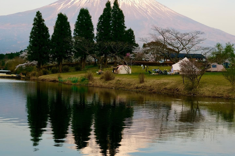 Tour privado de un día al Monte Fuji con conductor de habla hispana