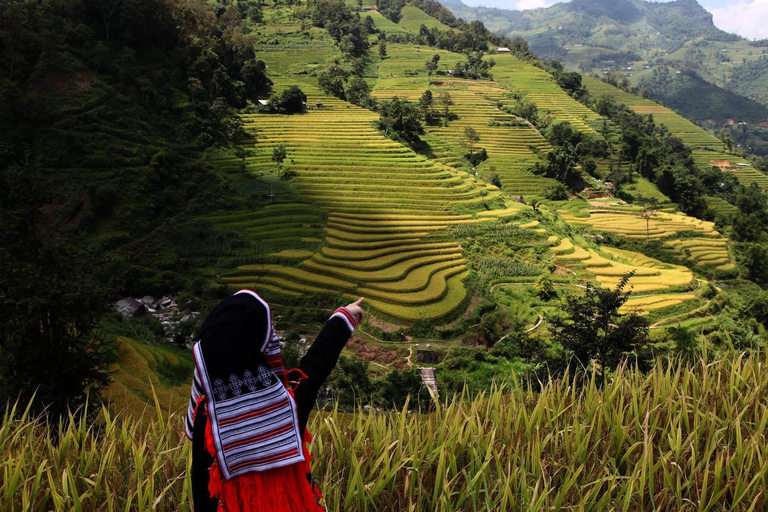 Mu Cang Chai 2 Days Tour Trekking Terraced Rice Field