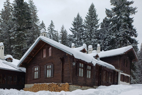 博罗韦茨徒步和雪橇之旅，参观比斯特里察皇家宫殿博罗维茨徒步和雪橇之旅，参观比斯特里察皇家宫殿