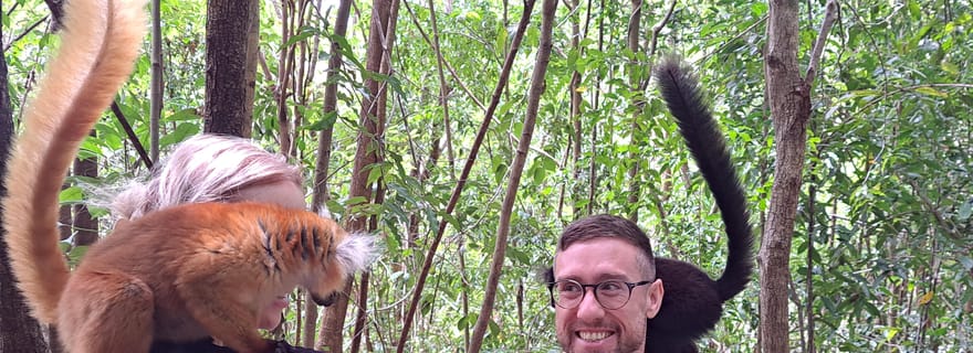 Excursion d'une journée à Nosy Be : lémuriens de Nosy Komba et plongée avec tuba à Tanikely