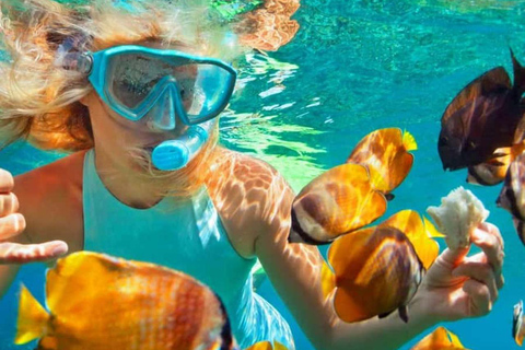 Zanzibar: Kiwengwa Reef Snorkeling, Sailing & Starfish Tour Zanzibar: Kiwengwa Reefs Snorkeling, Sailing & Starfish Tour