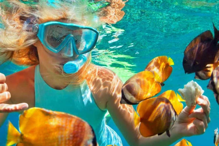 Zanzibar: Kiwengwa Reef Snorkeling, Sailing & Starfish Tour Zanzibar: Kiwengwa Reefs Snorkeling, Sailing & Starfish Tour