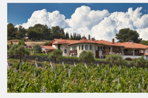 Depuis Kuşadası : Visite privée d&#039;Éphèse et dégustation de vin