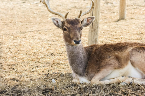From Durres: Farmland, Vineyard &amp; Wine Tasting Tour