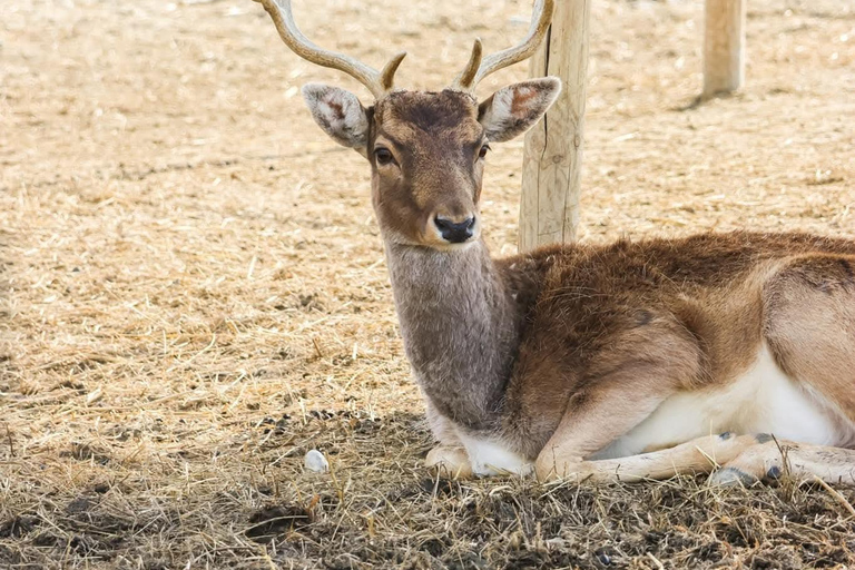 From Durres: Farmland, Vineyard &amp; Wine Tasting Tour