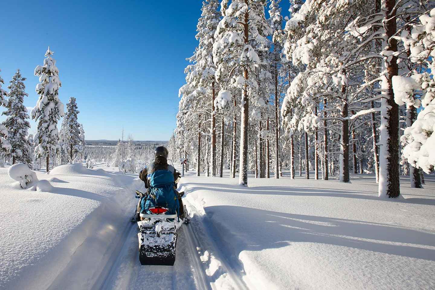 1hour Snowmobile safari