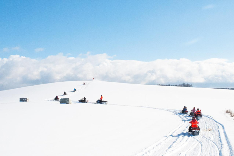 Hokkaido 1-Tagestour: Asahiyama Zoo, Biei und Ningle-Terrasse