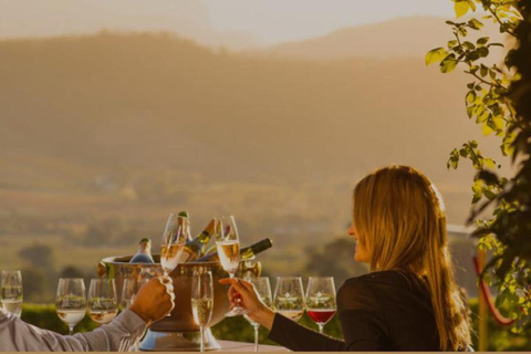 Le Cap : visite des vignobles pour les amateurs de vin avec transfert privé