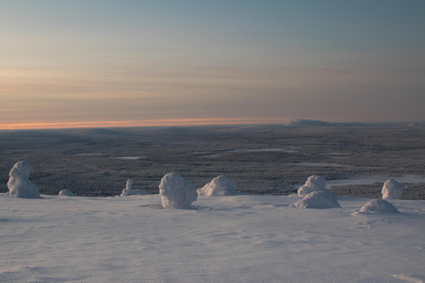 Pyhätunturi: prachtige sneeuwschoentocht in Fins LaplandSchilderachtige sneeuwschoentocht in Fins Lapland