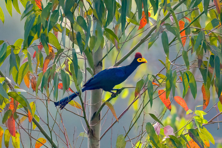 Kigali: Mount Jali Hike, City Tour, and Nightlife