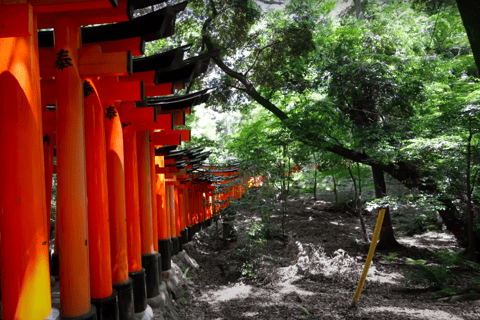 From Osaka/Kyoto: Kyoto Full-Day Sightseeing Private Tour