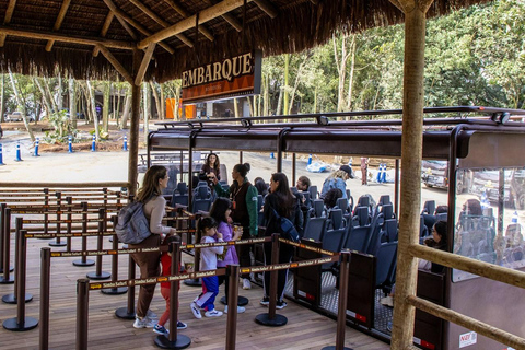 São Paulo: Simba Safari Entry Ticket