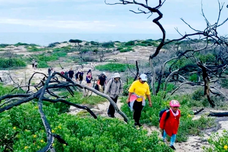 Senderismo Costero Sendero Sacramento: Puerto Elizabeth