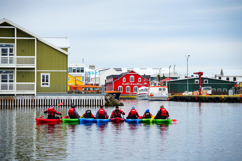 Siglufjörður / Siglufjordur: Guided kayak tour. Guided kayak tour in Siglufjörður / Siglufjordur.