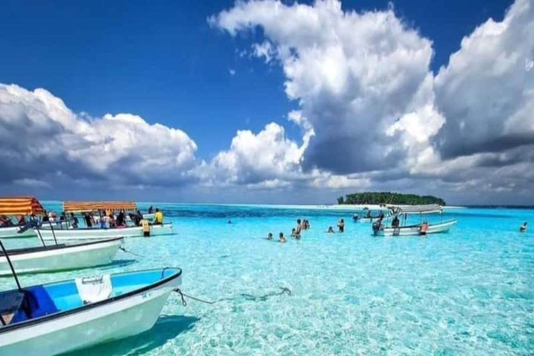 Mnemba Island: Delfinskådning och snorkling båtturMnemba Island: Delfinskådning och snorkling med båt