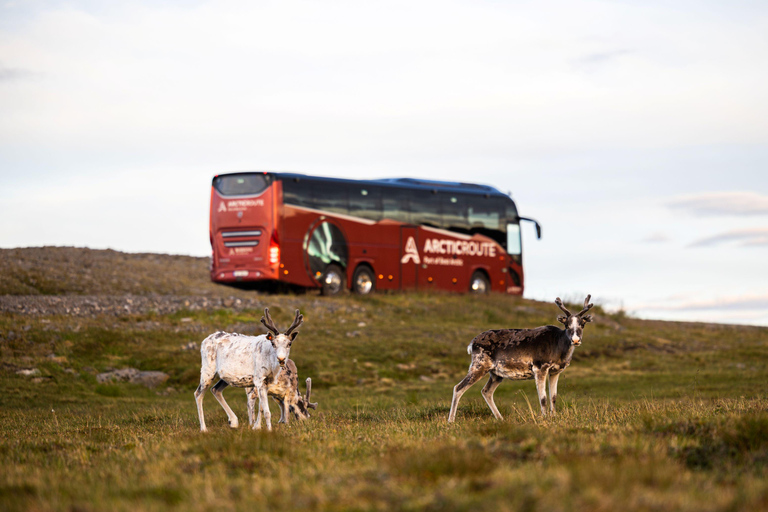 Tromsø: Sommarøy Roundtrip Bus Transfer with Arctic Route