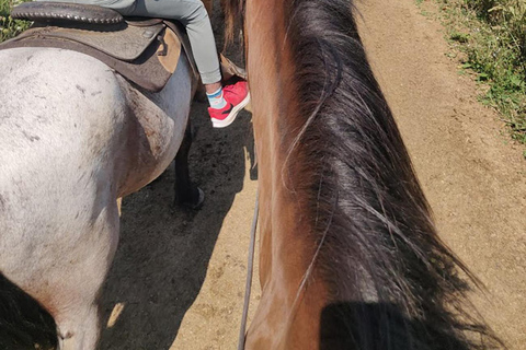 Excursión en autocaravana por el Parque Bronte Creek y a caballo