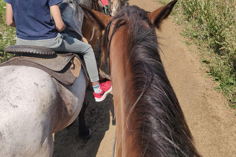 Excursión en autocaravana por el Parque Bronte Creek y a caballo