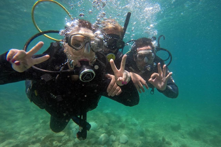 from Rio de Janeiro: Diving in Buzios