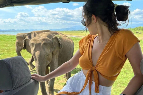 Private Sigiriya, Safari & Village Tour: Colombo/Kandy/South From Sigiriya: Complete Core Tour (Direct Access)