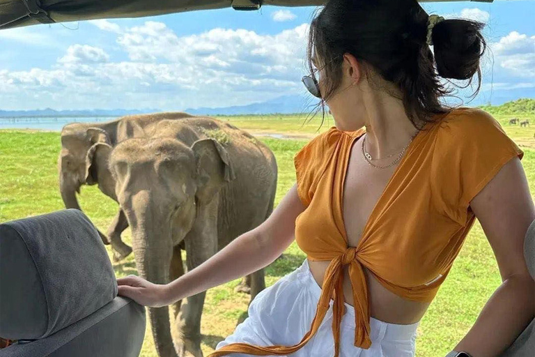 Private Sigiriya, Safari & Village Tour: Colombo/Kandy/South From Sigiriya: Complete Core Tour (Direct Access)