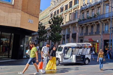 Toulouse: Electric Tuk-Tuk Tour with Photo Stops and Audio