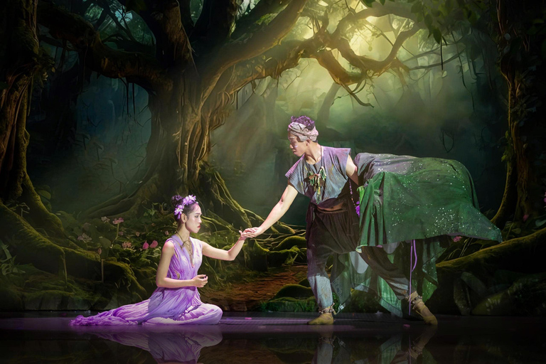 岘港：汉江晚餐游船之旅（含仙沙表演）岘港：汉江晚餐游船之旅，含仙沙表演