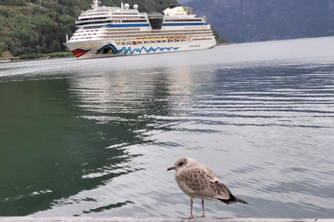 ULTIMATE Eidfjord TOUR: Waterfall, Sky Bridge & Glacier 3,5H Ultimate Eidfjord Tour: Vøringsfossen & Scenic Views!