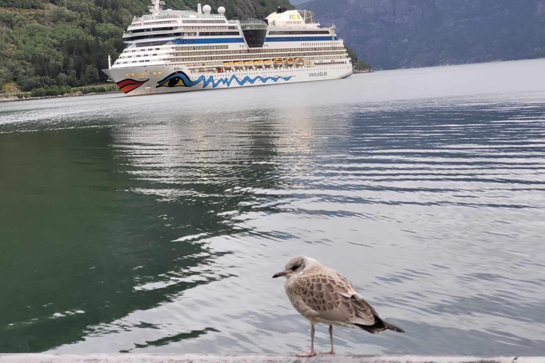 ULTIMATE Eidfjord TOUR: Waterfall, Sky Bridge & Glacier 3,5H Ultimate Eidfjord Tour: Vøringsfossen & Scenic Views!