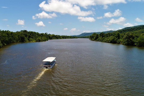 Cairns/Port Douglas: Overnight Rainforest to Reef Experience Daintree Overnight Rainforest & Reef - Private Double/Twin