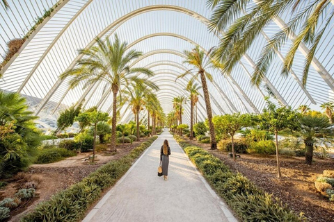 Valencia: Wandeltour langs bezienswaardighedenValencia: 2 uur durende privé wandeltour