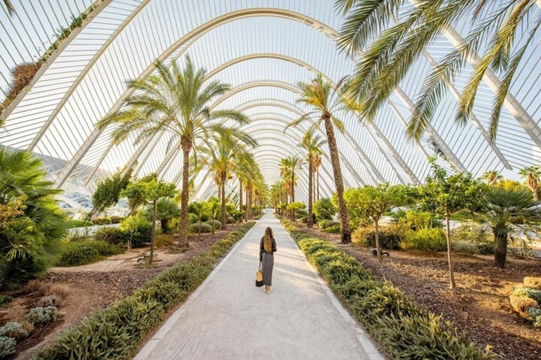 Valencia: Ein Rundgang zu den wichtigsten SehenswürdigkeitenValencia: 2-stündige private Tour zu Fuß