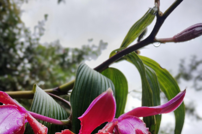 2 Days - Short Inca Trail to MachuPicchu