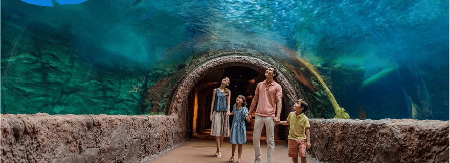 Singapour : billet d'entrée à River Wonders