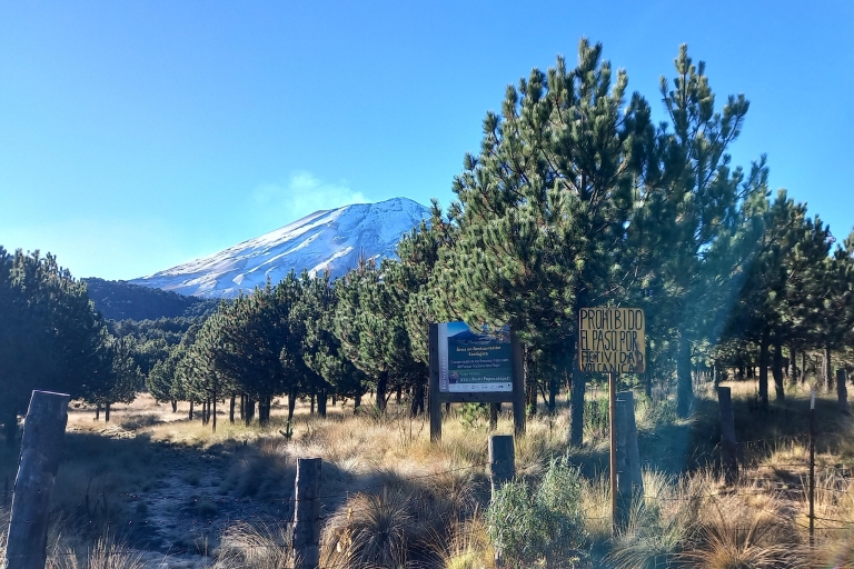 Iztaccihuatl Hike from Puebla: Level 2 Full-Day Trip