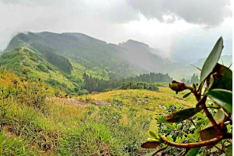 Kandy: Hanthana Katusukonda Hike, Tea & Waterfall Day Tour