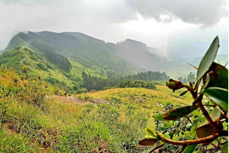 Kandy: Hanthana Katusukonda Hike, Tea & Waterfall Day Tour