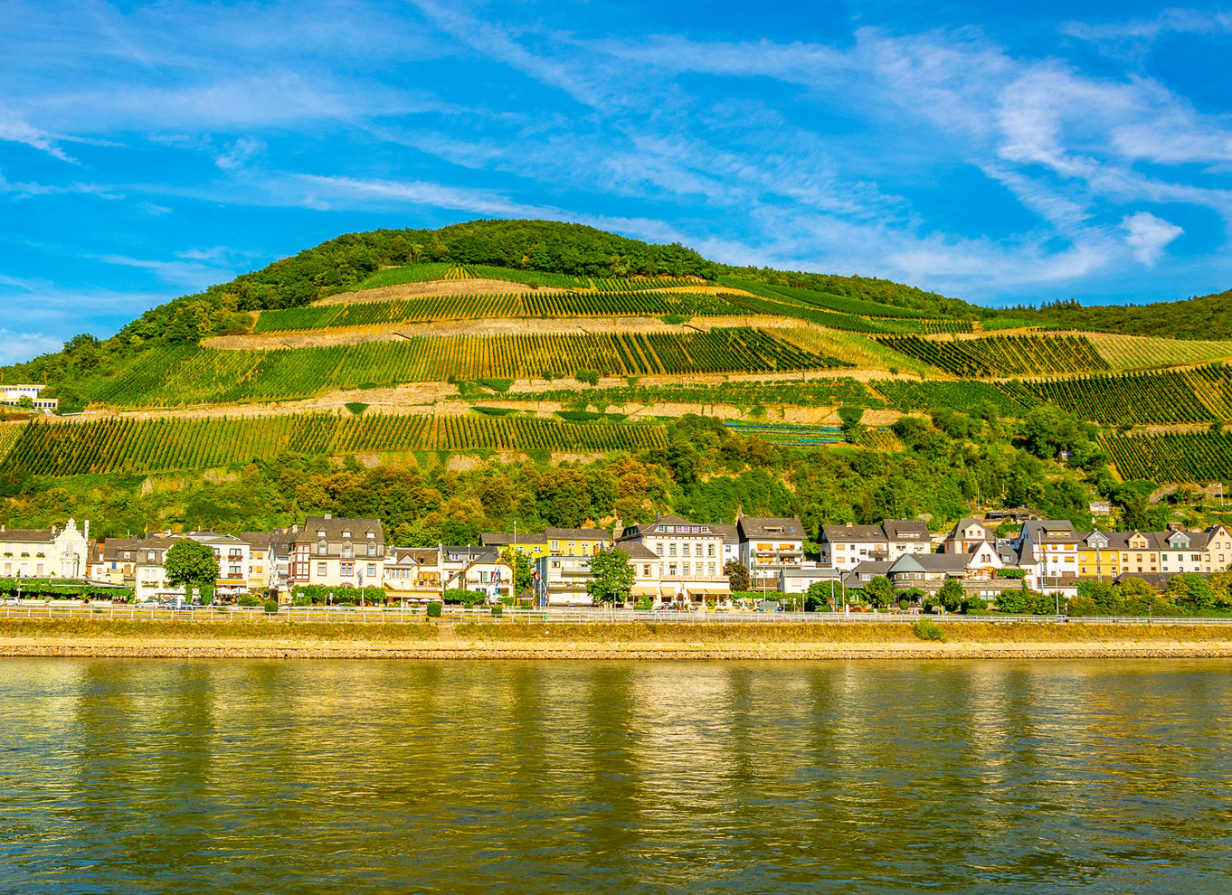 Slotte i Rhinen: 1,5-timers bådtur fra Rüdesheim