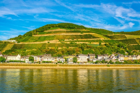 Castillos del Valle del Rin: Excursión en barco de 1,5 horas desde Rüdesheim